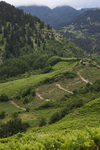 Metsovo Katogi-Strofilia 2