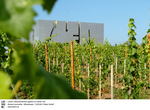 LOISIUM Weinwelt3