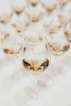 SEKT 2021 071