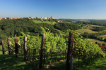 Steiermark Wein Thermenland Steiermark