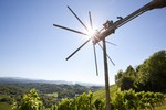 Steiermark Wein Suedsteiermark