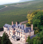 Taittinger Marquetterie 