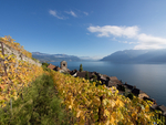 Schweiz Pressefoto 3
