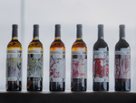SOMM WEIN WEB 005