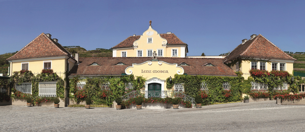 Lenz Moser Panoramafoto
