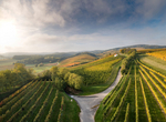 Ried Bodigraben Mittelburgenland 