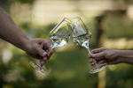 WeinSteiermark Flora P